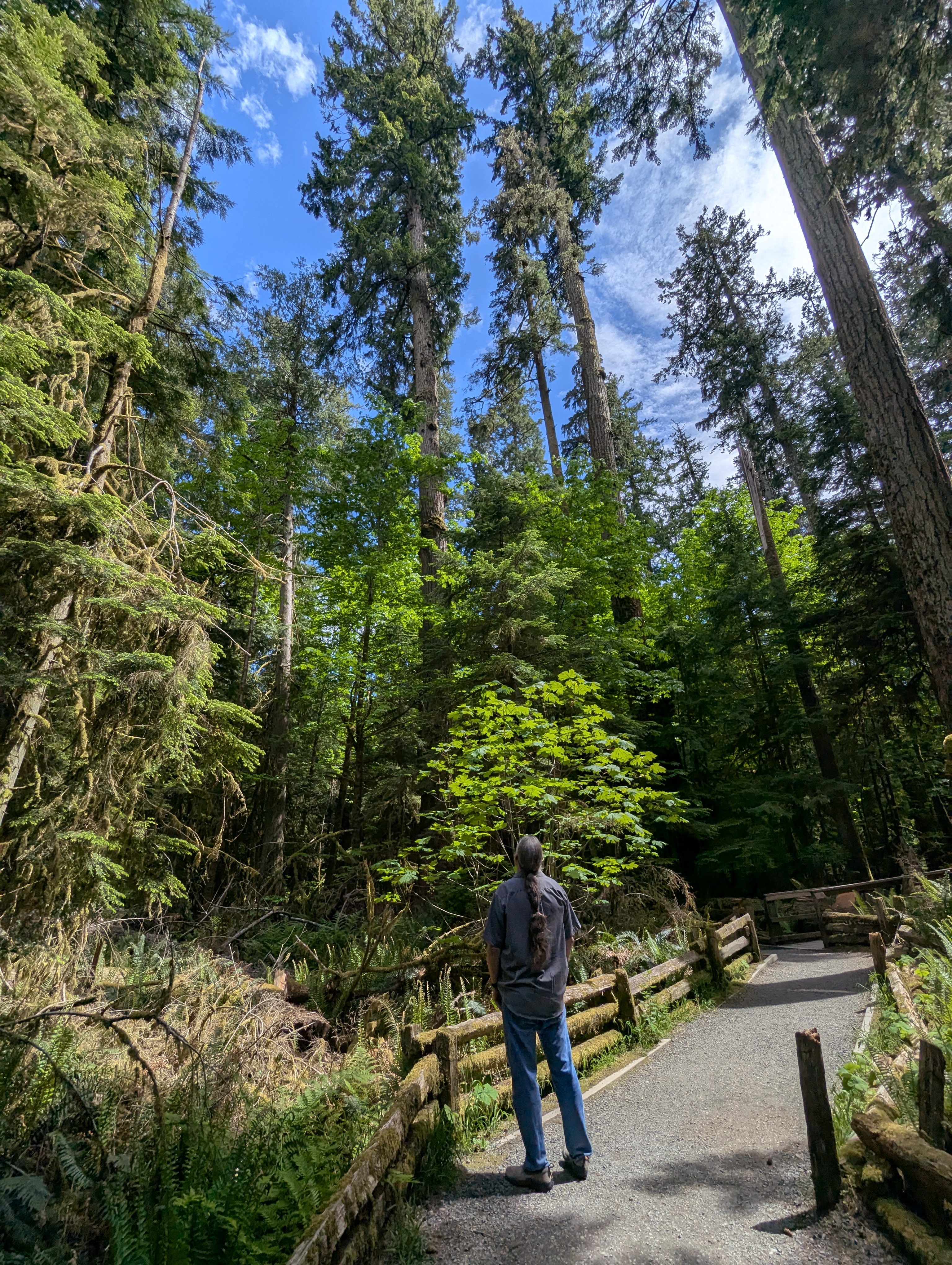 Birthday Trip to Canada, Cathedral Grove, Vancouver Island